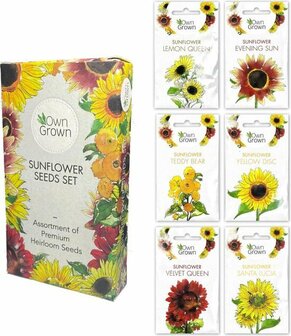 OwnGrown Zonnebloemenzaden set 6 verschillende soorten zonnebloemen Voor binnen, tuin en balkon Eco-vriendelijke verpakking