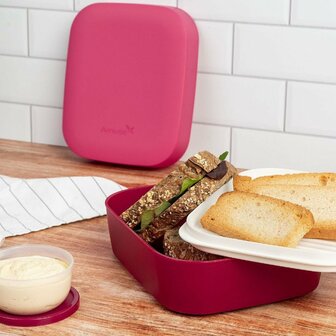 Amuse 3in1 Lunchbox Rood