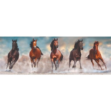 Clementoni High Quality Collection Panorama Puzzel Paarden 1000 Stukjes